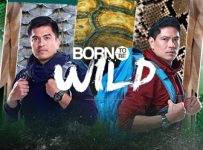 Born To Be Wild June 8 2025
